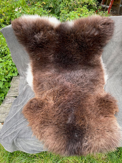 Brown sheepskin with white on the sides.