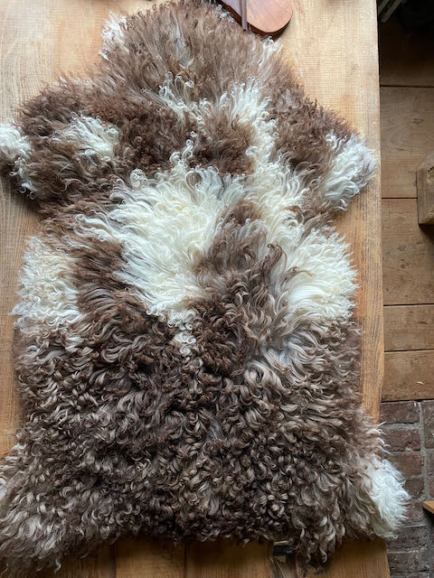 Tibetan sheepskin (exclusive)