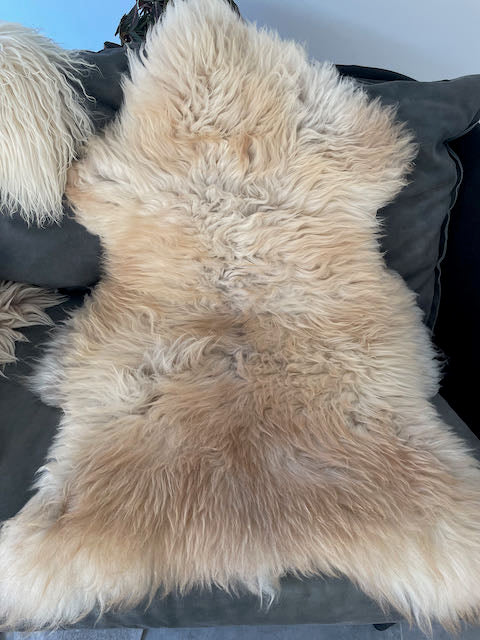 Cream/honey colored sheepskin
