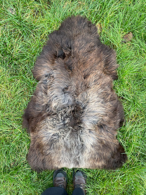 L gemengd bruin Engels schapenvacht