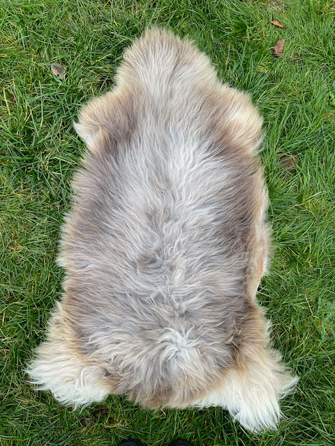 XL licht grijs/ camel schapenvacht