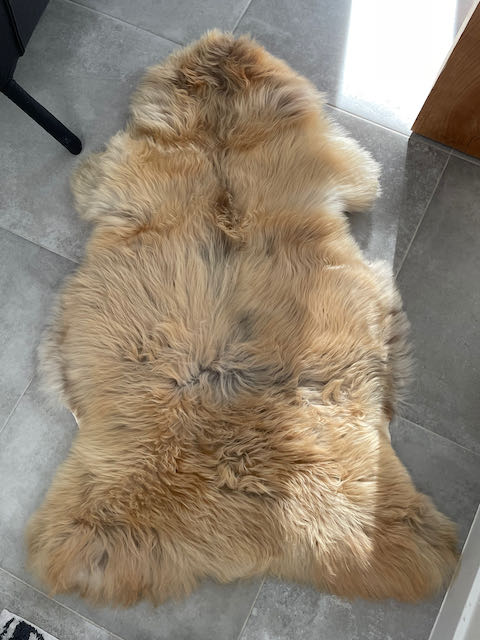 Honing kleurige large - XL schapenvachten