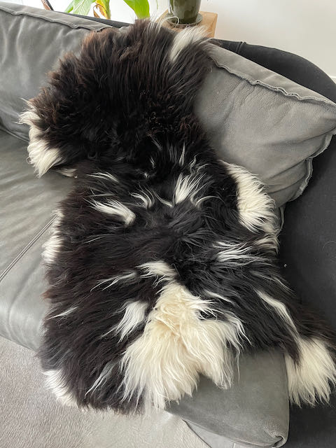 Zwart/wit Jacob schapenvacht