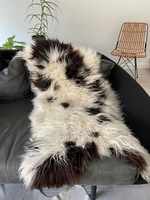 Gevlekt Jacob schapenvacht