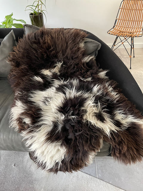 Donkerbruin/wit gevlekt Jacob schapenvacht XL