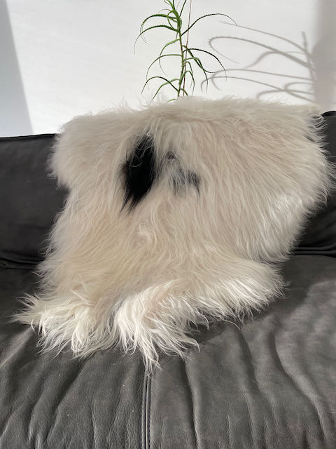 Wit large naturel IJslands schapenvacht met zwart