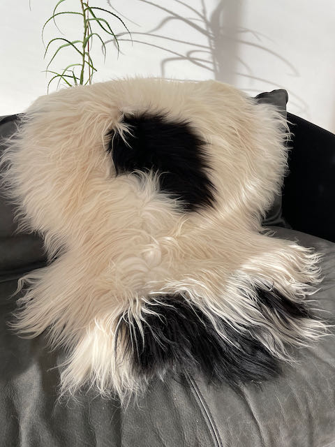 Large zwart- wit langharig Ijslands schapenvacht