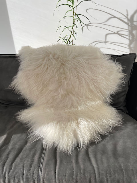 Wit large Ijslands schapenvacht