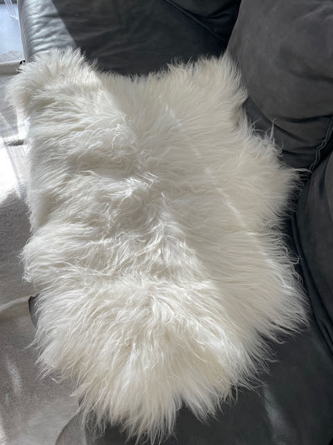 Wit large Ijslands schapenvacht