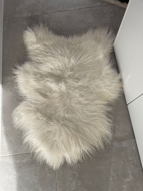 Wit large Ijslands schapenvacht