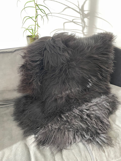 Zwart large Ijslands schapenvacht