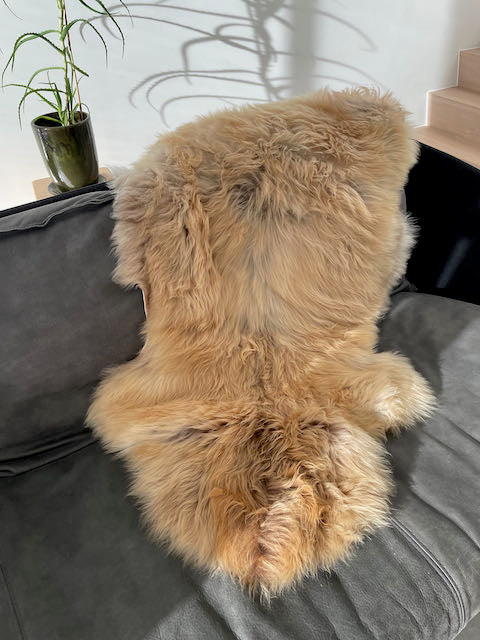 Honing kleurige large - XL schapenvachten