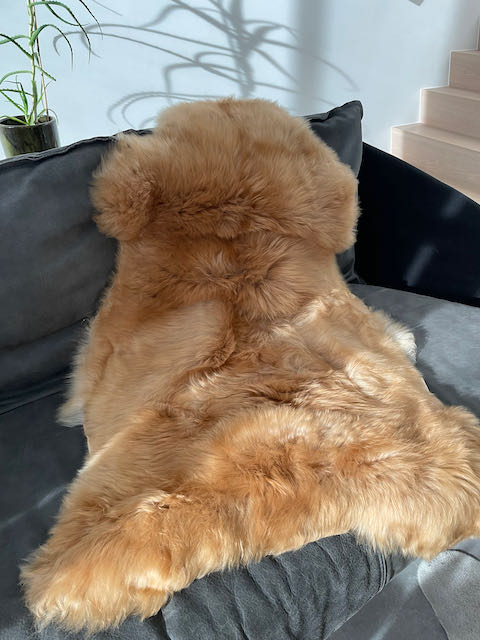 Camel large- XL schapenvacht