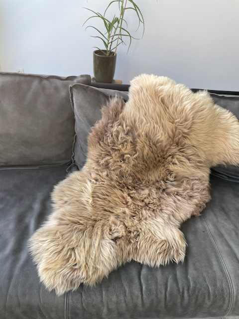 Large beige/taupe schapenvacht